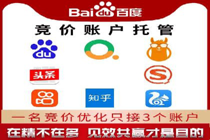 百度竞价与搜索引擎优化（SEO）结合的经典案例